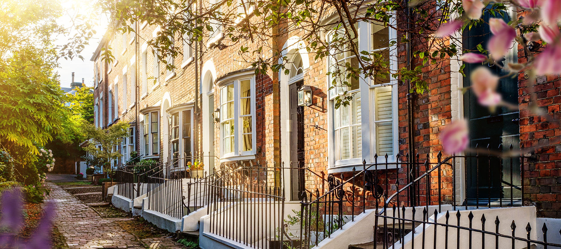 surveys-hero-1 Row of historic terraced houses with brick path