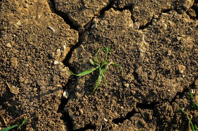 Soil shrinkage Dry conditions leading to soil shrinkage